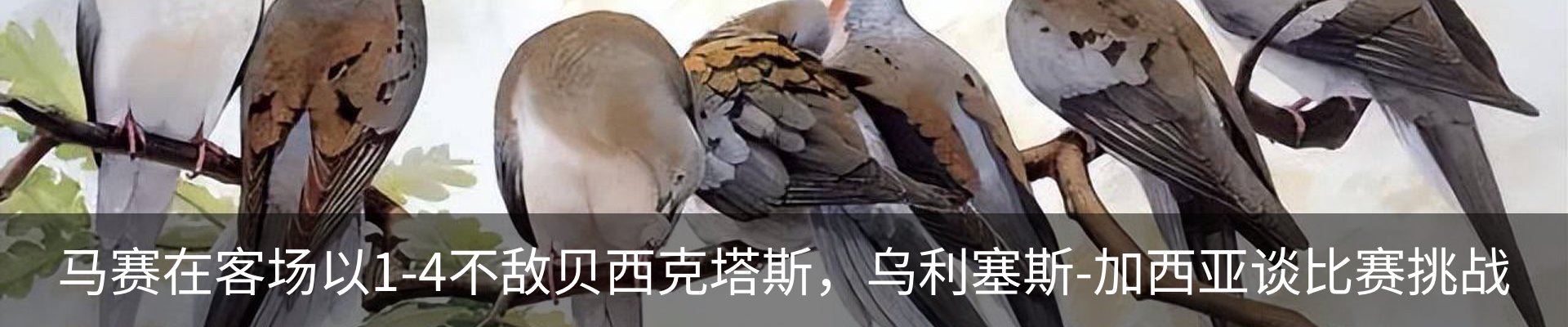 新闻动态